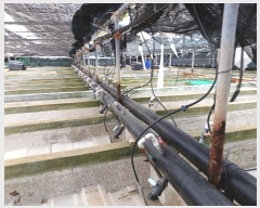  2024Ÿ51878  ϵ  θ 898-3      