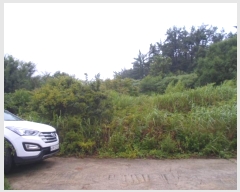  2024Ÿ52833  س   22      (Ӿ)