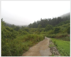  2024Ÿ52833  س   22      (Ӿ)