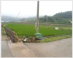  2024Ÿ52833  س   22      (Ӿ)