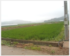  2024Ÿ52833  س   22      (Ӿ)