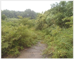  2024Ÿ52833  س   22      (Ӿ)