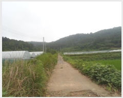  2024Ÿ52833  س   22      (Ӿ)