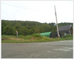  2024Ÿ52833  س   22      (Ӿ)