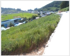  2024Ÿ��53553 ���� �ϵ��� ���� ��θ� 1027-1      ����(��1)���