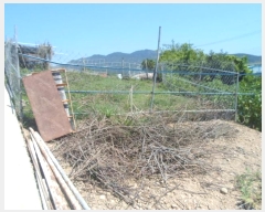  2024Ÿ��53553 ���� �ϵ��� ���� ��θ� 1238      ����(��1)���