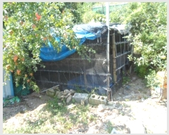  2024Ÿ��53553 ���� �ϵ��� ���� ��θ� 1238      ����(��1)���