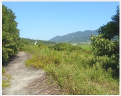  2024Ÿ��53553 ���� �ϵ��� ���� ��θ� 1238      ����(��1)���