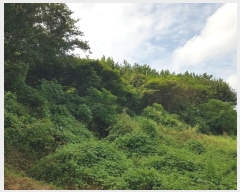  2024Ÿ54112  س   636      (1)