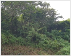  2024Ÿ54112  س   636      (1)