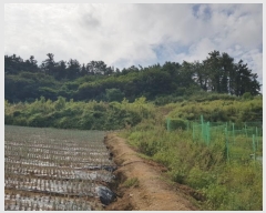  2024Ÿ54112  س   636      (1)