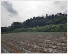  2024Ÿ54112  س   636      (1)