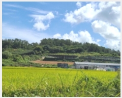  2024Ÿ54112  س   636      (1)