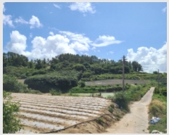  2024Ÿ54112  س   636      (1)