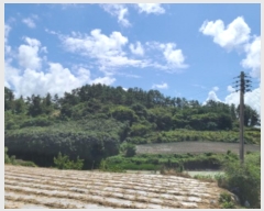  2024Ÿ54112  س   636      (1)