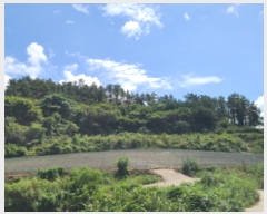  2024Ÿ54112  س   636      (1)