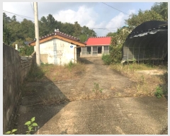  2024Ÿ54723  س   313-2      ð