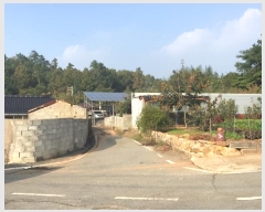  2024Ÿ54723  س   313-2      ð