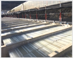  2024Ÿ��54945 ���� �ϵ��� ��ȭ�� ������ 711      ����(������)���