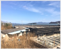  2024Ÿ��54945 ���� �ϵ��� ��ȭ�� ������ 711      ����(������)���