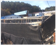  2024Ÿ��54945 ���� �ϵ��� ��ȭ�� ������ 711      ����(������)���