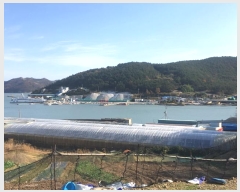  2024Ÿ��54945 ���� �ϵ��� ��ȭ�� ������ 711      ����(������)���