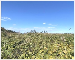  2024Ÿ��54969  �Ӿ߰��