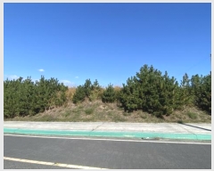  2024Ÿ��54969  �Ӿ߰��