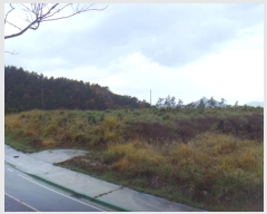  2024Ÿ��54969  �Ӿ߰��