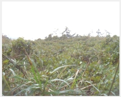  2024Ÿ��54969  �Ӿ߰��