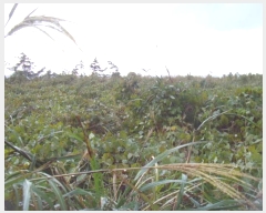  2024Ÿ��54969  �Ӿ߰��