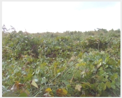  2024Ÿ��54969  �Ӿ߰��