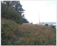  2024Ÿ��55184  �����