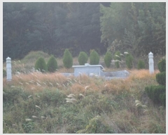  2024Ÿ��55184  �����