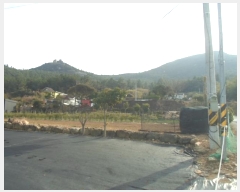  2024Ÿ��55184  �����