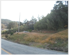  2024Ÿ��55184  �����