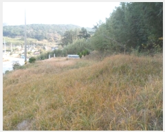  2024Ÿ��55184  �����