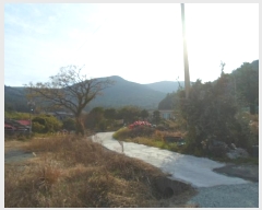  2024Ÿ��55184  �����