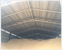  2024Ÿ��55252 ���� �س��� ���ϸ� ������ 207      ����,â�����