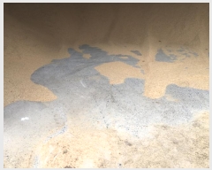  2024Ÿ��55252 ���� �س��� ���ϸ� ������ 207      ����,â�����