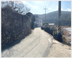  2024Ÿ55887  ϵ  縮 616-24      ,â