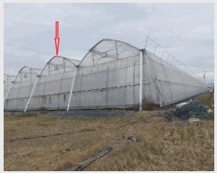  2024Ÿ6347  ֱ   1000-7      ()