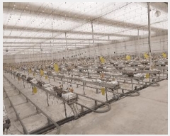  2024Ÿ6347  ֱ   1000-7      ()