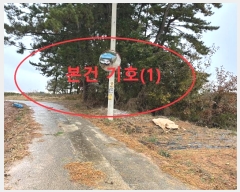  2024Ÿ6637     190-1      ()