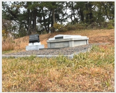  2024Ÿ6637     190-1      ()