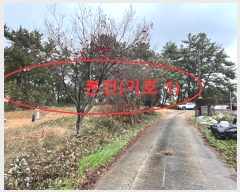  2024Ÿ6637     190-1      ()