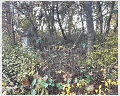  2024Ÿ6637     190-1      ()