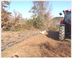  2024Ÿ6637     190-1      ()