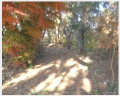  2024Ÿ6637     190-1      ()