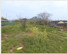  2024Ÿ��33615 ���� ������ ������ ��� 834-1      ����(��1)���